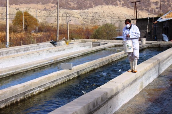 پرداخت تسهیلات اشتغالزایی سپاه به عشایر استان