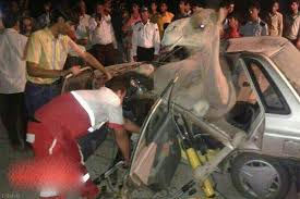 کمربند و جلیقه شبرنگ برای شتران در ریگان