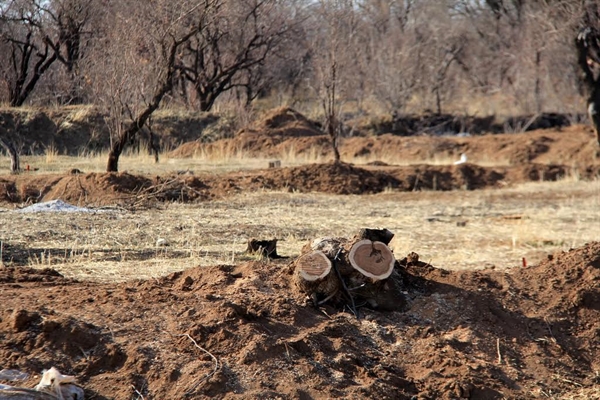 تیشه به ریشه باغستان های قزوین/ باغستان زیرتیغ تخریب + فیلم تیشه به ریشه باغستان های قزوین/ باغستان زیرتیغ تخریب + فیلم