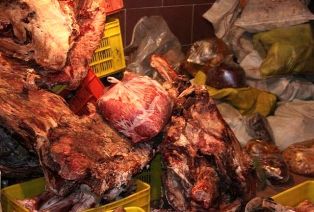 کشف مواد مخدر و مواد غذائی فاسد شده شهرستان قائمشهر