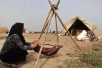۷۵ درصد اقتصاد عشایر متکی به دامپروری است