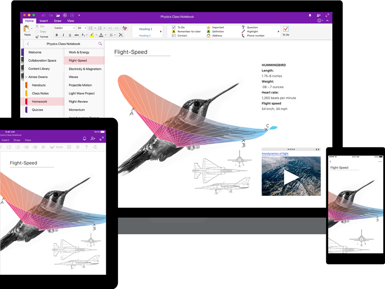 اپلیکیشن OneNote با طراحی تحول یافته اکنون در دسترس تمام کاربران ویندوز ۱۰ قرار گرفته است