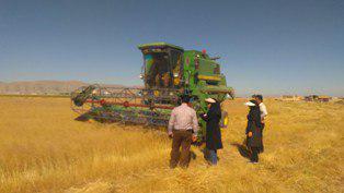 آغاز برداشت مکانیزه خاکشیر در اقلید