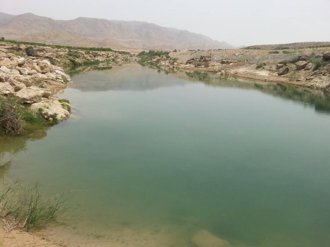 ر‌ها سازی بیش از ۱۱ هزار قطعه بچه ماهی گرمابی در منابع آبی جهرم