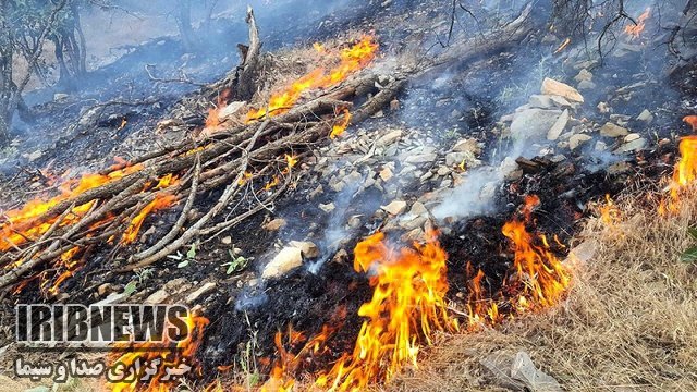 مهار آتش سوزی درلنده پس از 2 روز