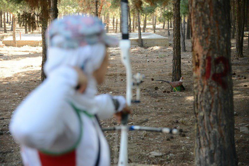 برگزاری مسابقات تری دی تیراندازی با کمان برگزاری مسابقات تری دی تیراندازی با کمان