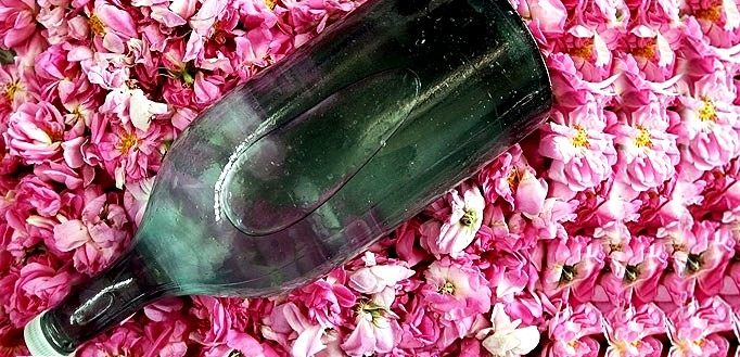 معدوم سازی ۸۰۰ لیتر عرقیجات غیرقابل مصرف