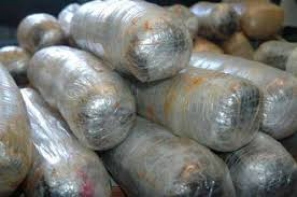 از تعقیب و گریز پلیس تا ماجرای مرال و مادر+فیلم از تعقیب و گریز پلیس تا ماجرای مرال و مادر+فیلم