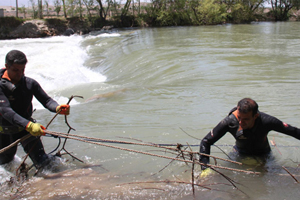 از تعقیب و گریز پلیس تا ماجرای مرال و مادر+فیلم از تعقیب و گریز پلیس تا ماجرای مرال و مادر+فیلم