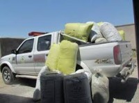 از تعقیب و گریز پلیس تا ماجرای مرال و مادر+فیلم از تعقیب و گریز پلیس تا ماجرای مرال و مادر+فیلم