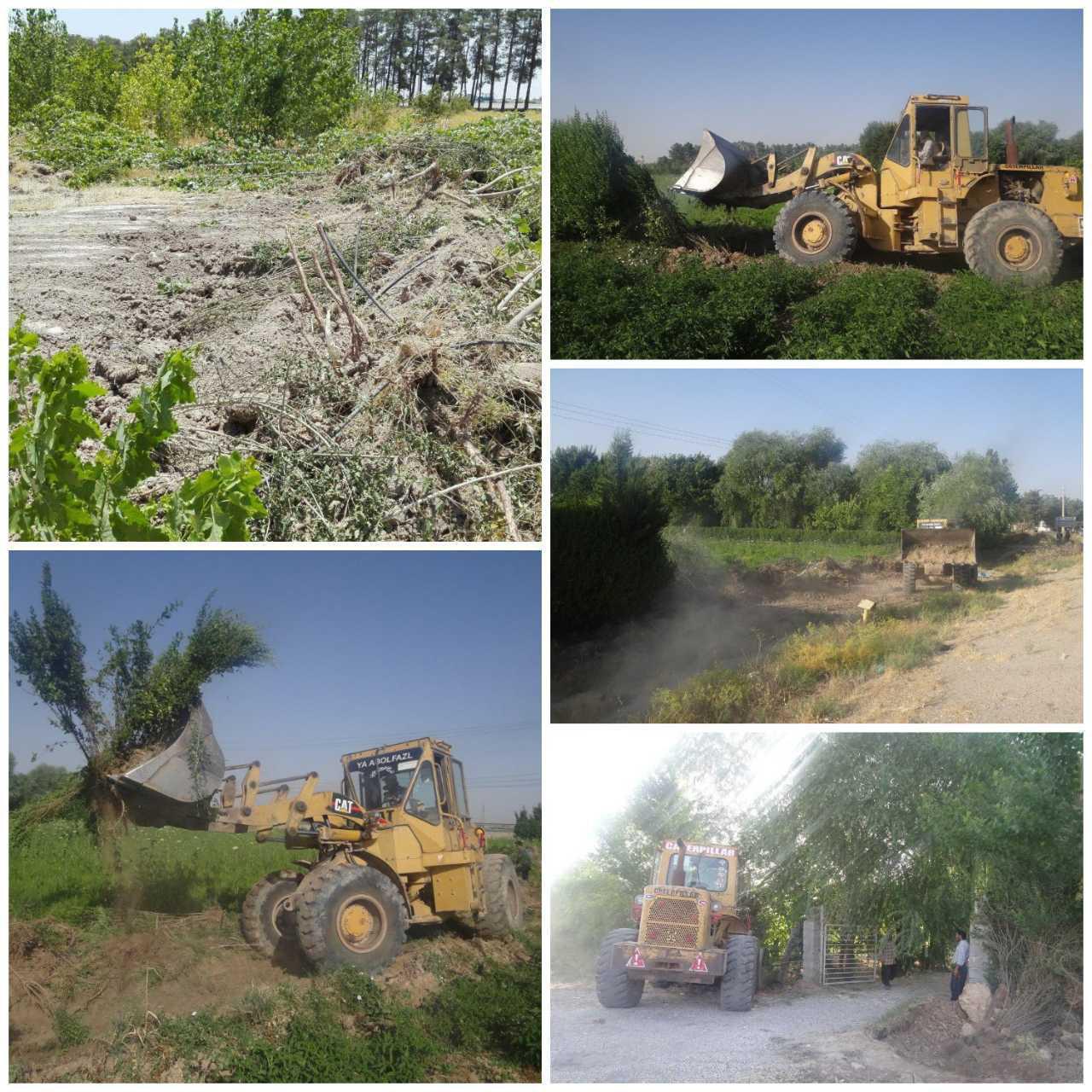 اجرای حکم قضایی درختکاری در حریم مجموعه جهانی تخت جمشید اجرای حکم قضایی درختکاری در حریم مجموعه جهانی تخت جمشید