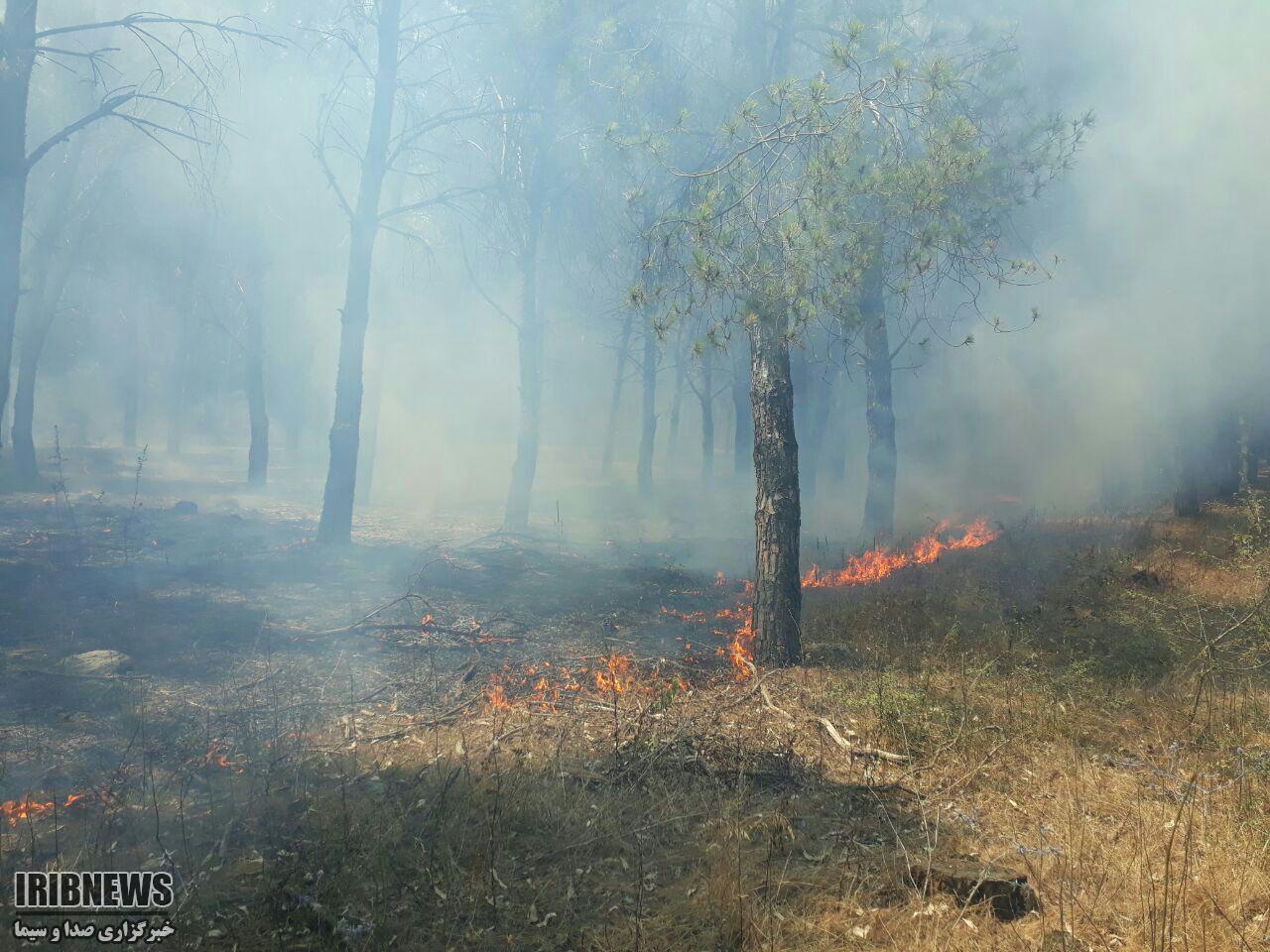 آتش سوزی در 5 منطقه گلستان