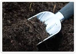 استانداردهای ۷ نوع کود کشاورزی اجباری می‌شود