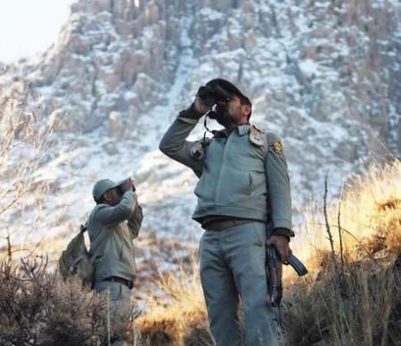 پاسداشت حافظان بی حفاظ حیات وحش + فیلم