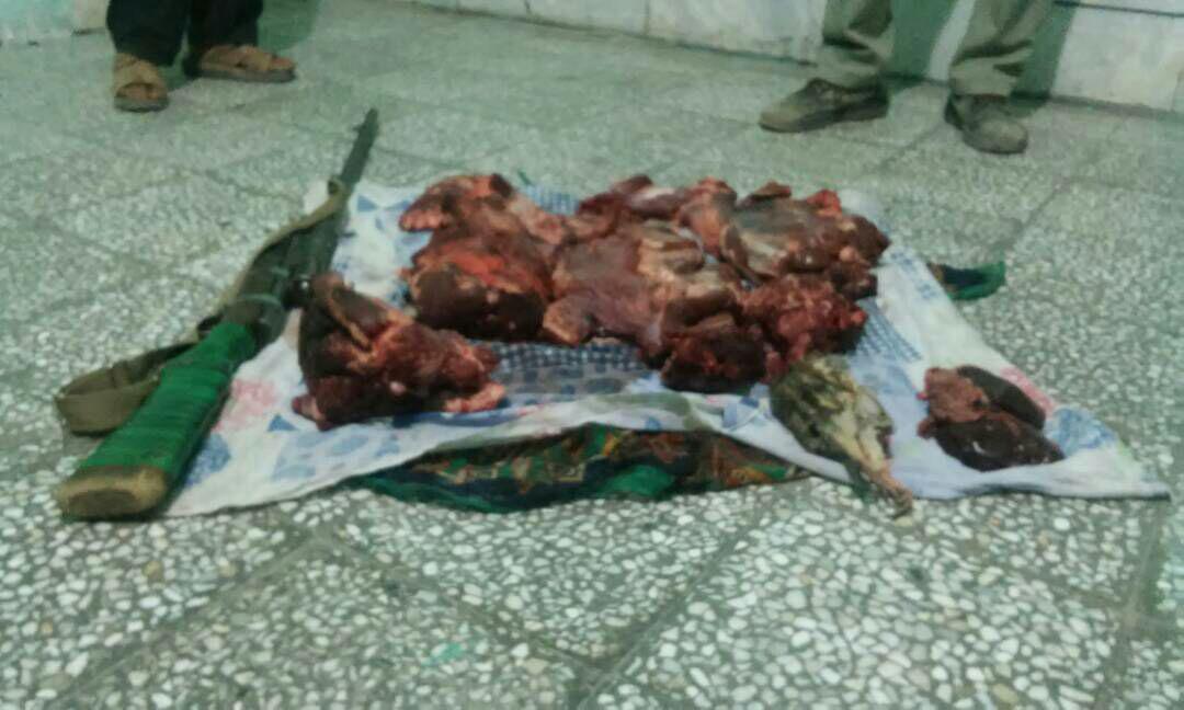 بازداشت شکارچی متخلف