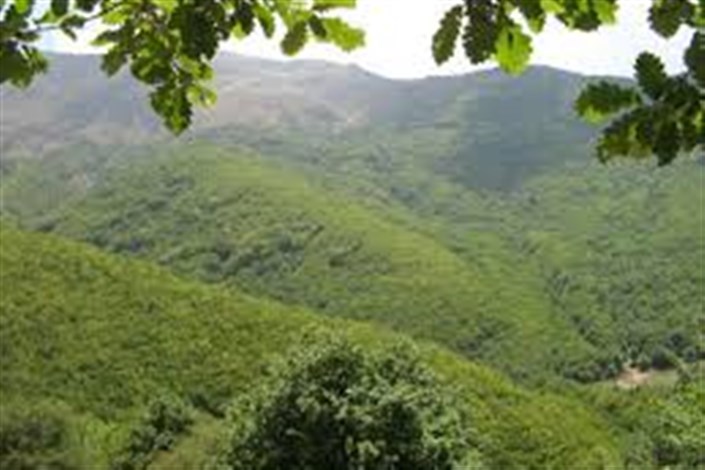 راه اندازی سامانه استعلامات منابع طبیعی راه اندازی سامانه استعلامات منابع طبیعی