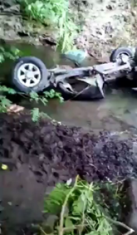 مرگ زندگی بخش جنگل بان گیلانی مرگ زندگی بخش جنگل بان گیلانی