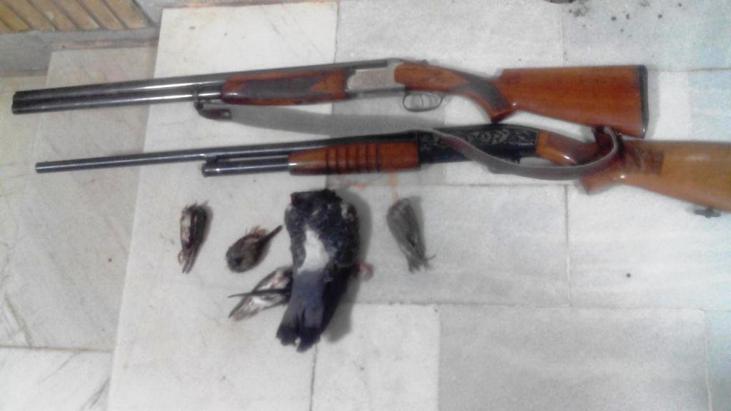 دستگیری دو شکارچی غیر مجاز پرنده در اهواز دستگیری دو شکارچی غیر مجاز پرنده در اهواز