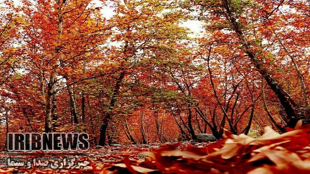 خیرآباد زنجان با دمای منفی 5 درجه سردترین ایستگاه کشور