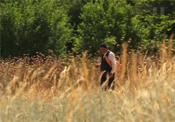 تنهایی تکنولوژیک دستاورد تنبلی و بی ایمانی تنهایی تکنولوژیک دستاورد تنبلی و بی ایمانی