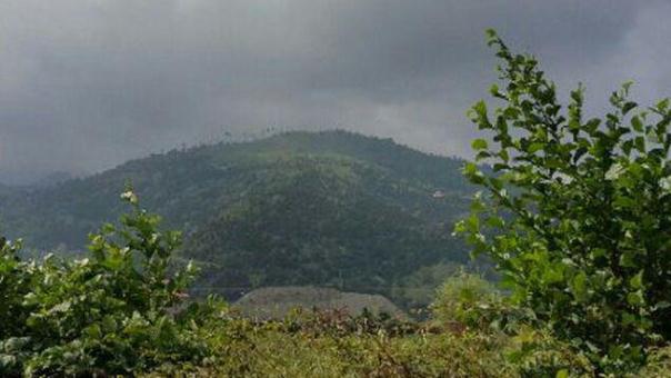 پیش بینی بارش باران در گیلان