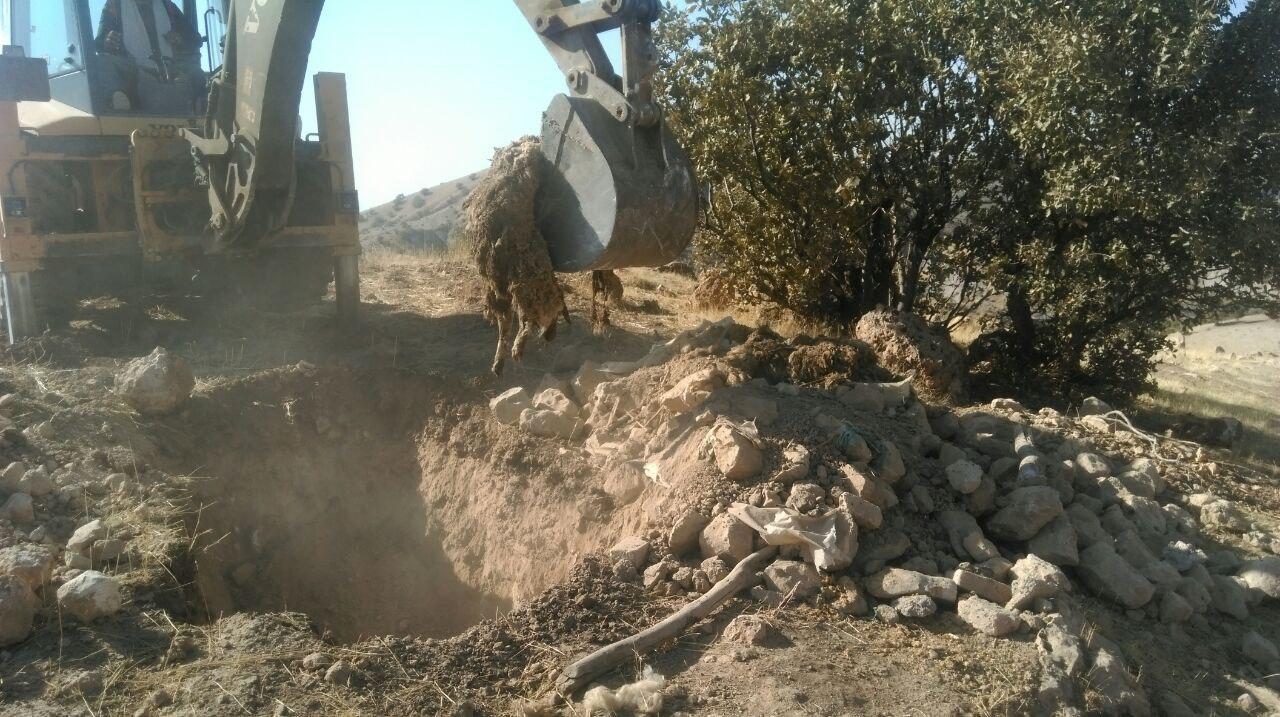 مناطق زلزله زده ثلاث باباجانی مجددا پایش میشوند مناطق زلزله زده ثلاث باباجانی مجددا پایش میشوند