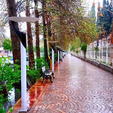 عکس باران پاییزی شیراز