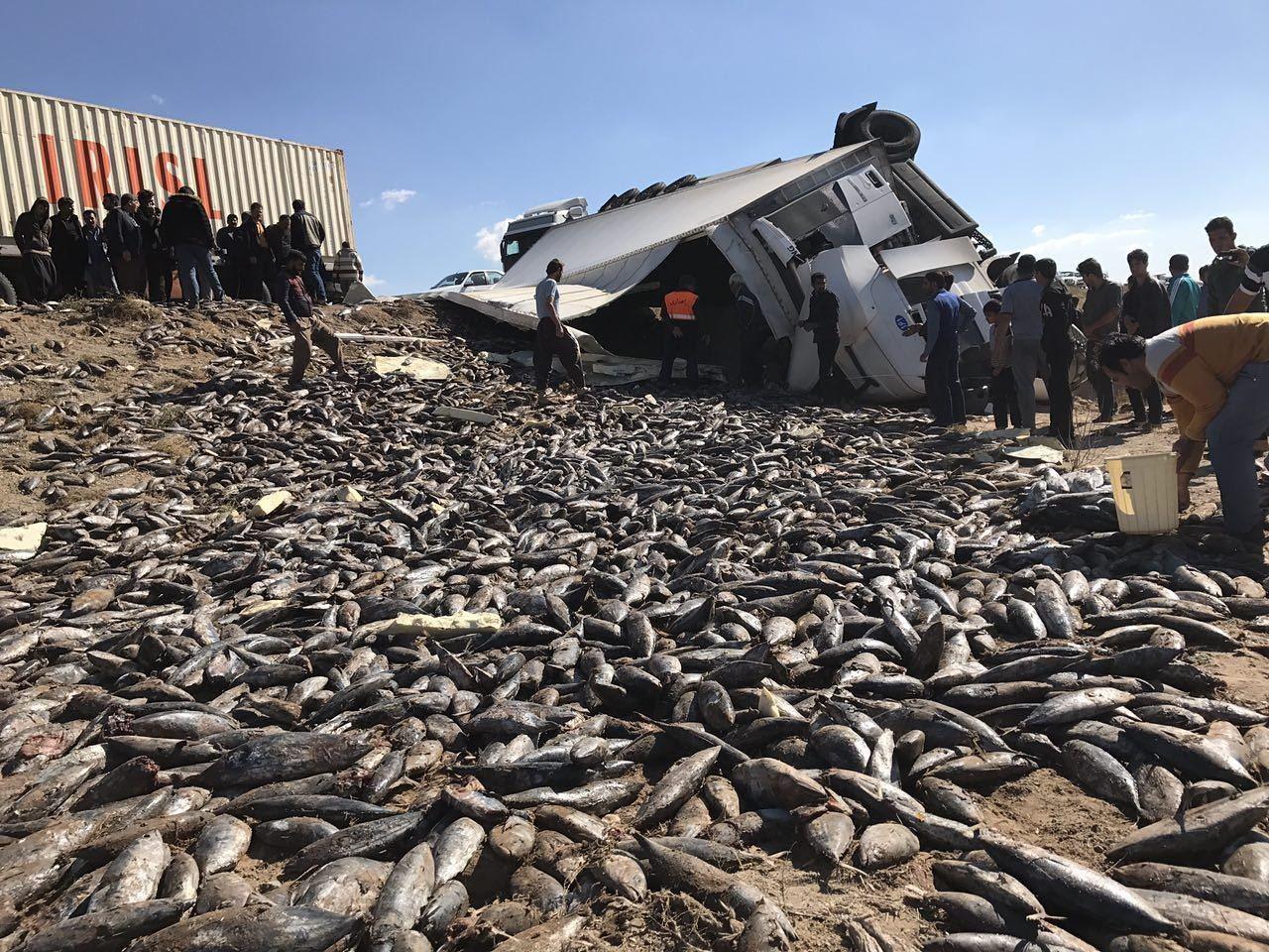 واژگونی تریلر حامل بار ماهی - جاده زیدآباد سیرجان | خبرگزاری صدا و سیما
