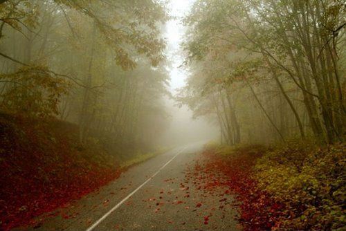 دمای هوا در شهر‌های دارای ایستگاه هواشناسی