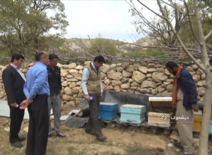 اختصاص ۲ میلیارد تومان وام اشتغالزایی به مددجویان دیشموک