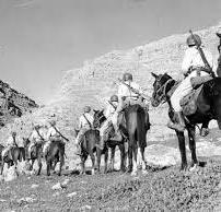 گزارش مکتوب: