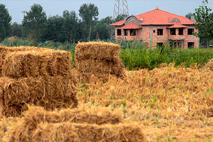 بررسی تغییر کاربری اراضی کشاورزی در کشور