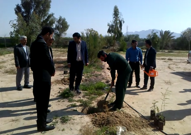 کاشت 90هزار اصله نهال جنگلی در دیر