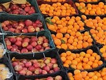 آغاز توزیع میوه نوروزی در استان مرکزی