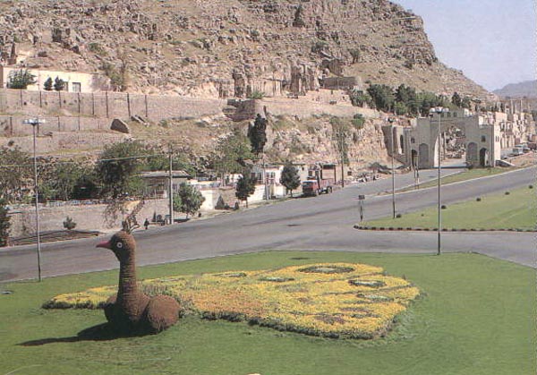 لباس گل برتن شیراز