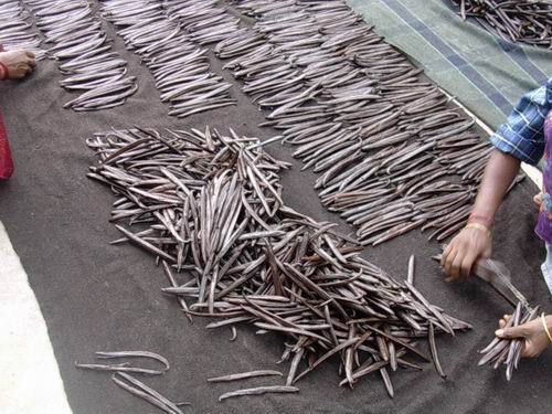 وانیل و خواص فوق‌العاده‌ی آن