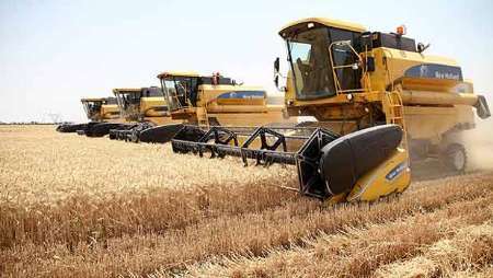 خریداری 600 هزار تن گندم از کشاورزان خوزستانی