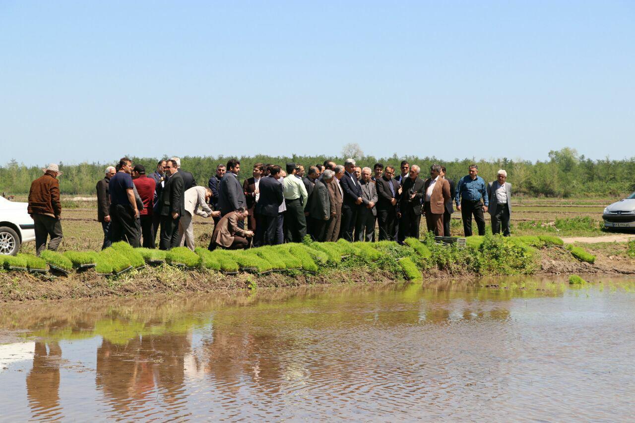 رهاسازی آب سد سفیدرود رهاسازی آب سد سفیدرود