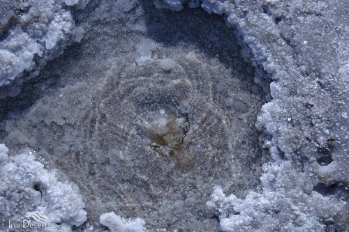 گزارش مکتوب ... به دیدن کویر پلت فرم نمکی ایران برویم