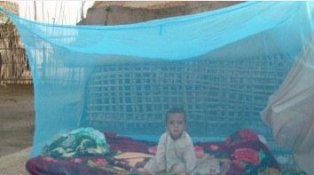 گزارش مکتوب؛ ایران الگوی موفق در کنترل بیماری مالاریا در جهان