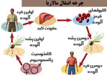 ایران الگوی موفق در کنترل بیماری مالاریا در جهان