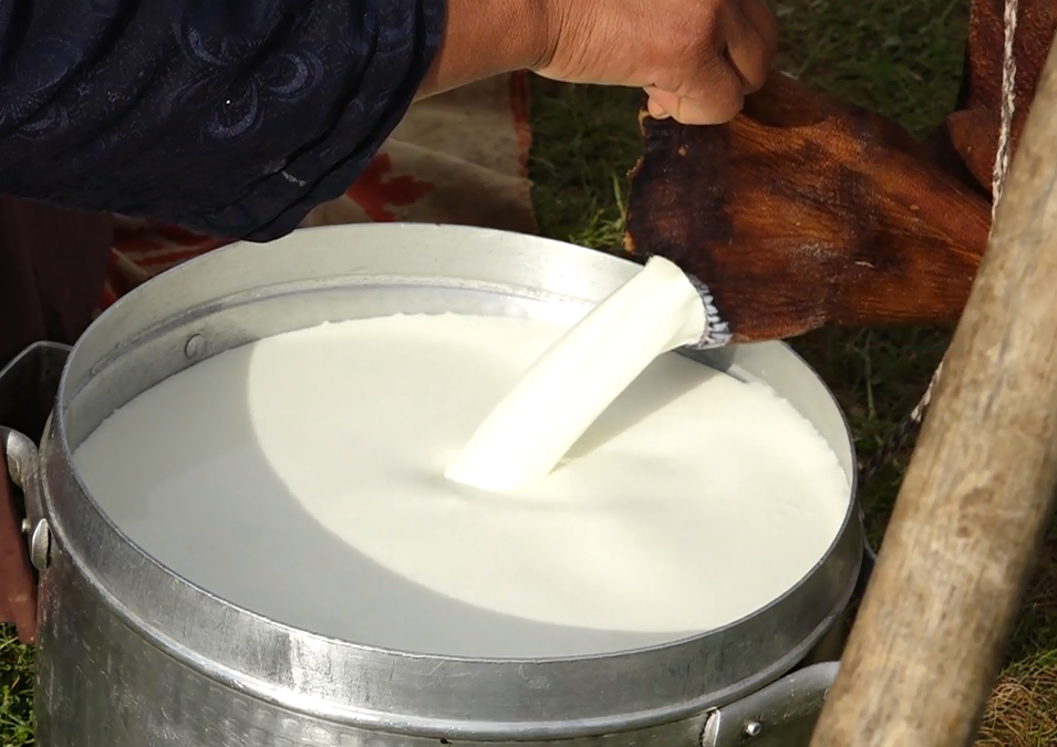 کوچ رسم دیرین عشایر بختیاری