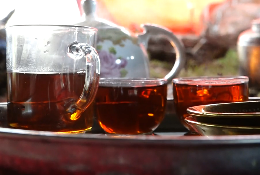 کوچ رسم دیرین هم پیمانان طبیعت