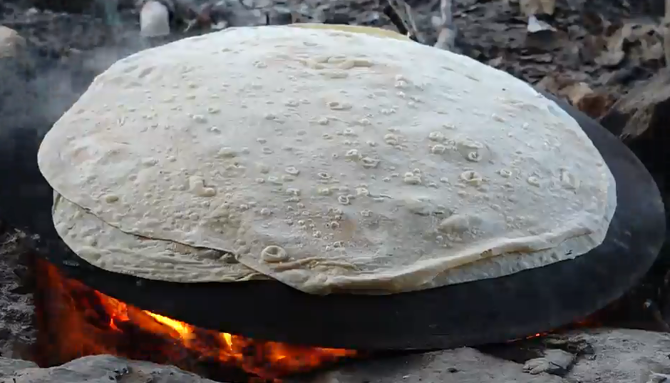 کوچ رسم دیرین هم پیمانان طبیعت