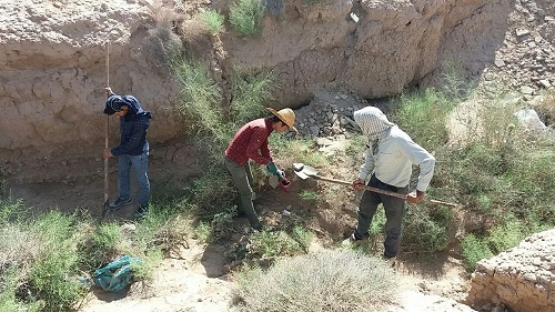 رد نیش پشه..