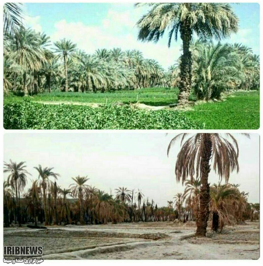 بی رحم تر از صدام بی رحم تر از صدام