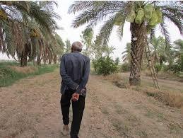 بی رحم تر از صدام بی رحم تر از صدام