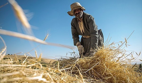 مزدی که باید پیش از خشک شدن عرق پیشانی پرداخت شود