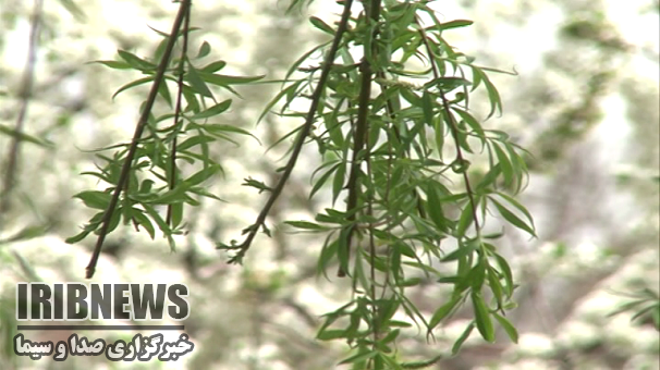 آسمان  زنجان صاف تا قسمتی ابری