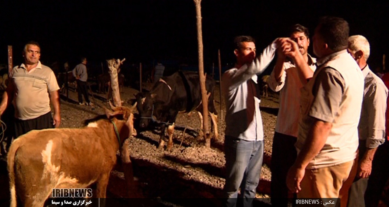 گرمی بازار بزرگترین بازار مال فروشان شمال کشور